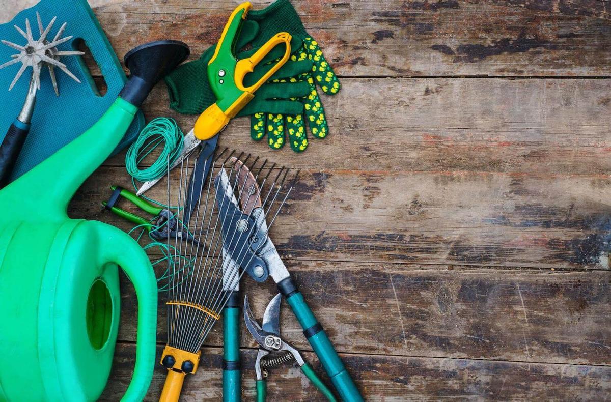 62445a1a6be982018e5cb8bc_Moving_your_Gardening_f149bfa1c2.jpg